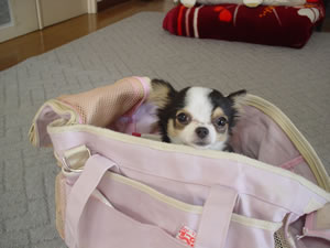 ������ۃo�b�O���o�����Ƃ��񂤂߂̓X�^���o�C�B�uTKD�����A��Ă��`�v