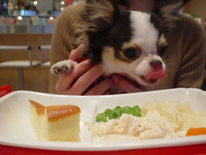 ��񂱃v���[�g��400�~�ɐ�Ȃ߂���