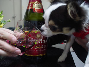 �����N�̈���������͖���u�I�HClick to Big.