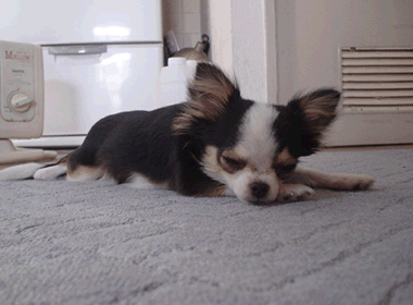 ���߂߃p�`�N�����߁B�n�����30��