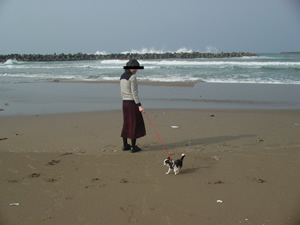 �C�݂ɂāB�g��̓N���b�N�B