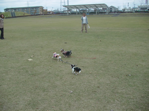 �铌�ӂꂠ�������ɂāB�S���͂ő���������A���̃����R�ɏc�ɓ]������邤�߂��͂��߂Č����BClick to Big.