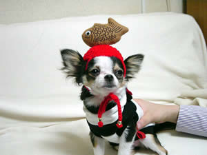 �����₫�ł��c