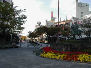 �F���w�O�̓��킢�c