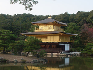 ���t���B��肽���c