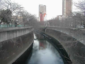 �����͐��[��10�p�̐_�c�삪