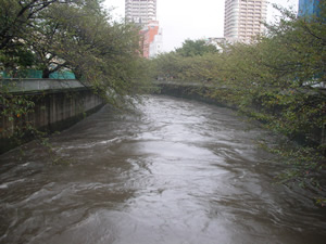 �ՊE�_�܂ł����X�O�I�܂ꂽ���̎}������񂶂�񗬂�Ă����B