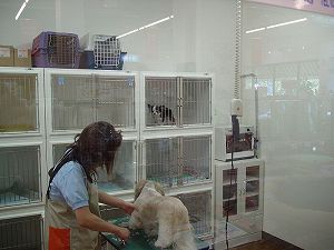 �g���~���O�҂��ŃQ�[�W�ɓ����ꂽ���߁B�s�������޽�BClick to Big.