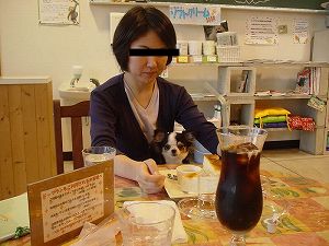 �����R�J�t�F�ň�x�݁B�V�����čL���ăt�����h���[�ł����B���BClick to Big.