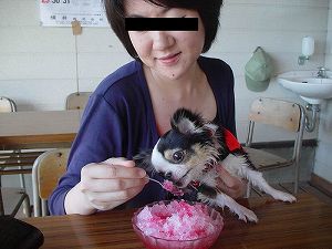 �C�̉ƂŐH�ׂ��J�L�X�B���߂��g���悶���ĐH�ׂĂ��܂����BClick to Big.