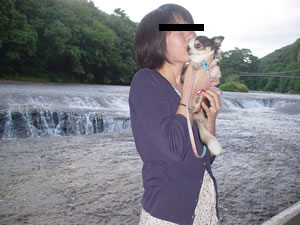 ���̂悤�ɗ��ꗎ�����ͺ��Ɠ��̂��́B�ꌩ�̉��l�؁B