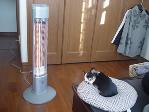 ���`�߂�˰���̑O�Ŋۂ��Ȃ�`��