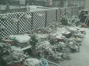 ��̔��A�����^�����ɐቻ�ς���܂���