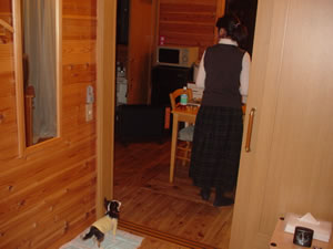 �R�e�[�W�g�����̖؂�܁h�����B�؂̂ʂ����肪���������ðӑf�G�ȏh�ł����B�ڍׂ̓N���b�N�I