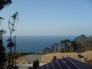 ���ɓ��̒��B�C�͓��ł��܂��B��C������ł��Ēg�����B�썑���߰؁B