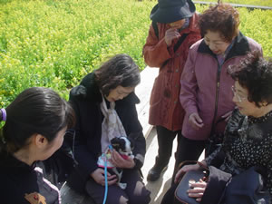 �؂̉Ԕ��ł͂��߂����΂���A���Ɏ��͂܂�c�ڍׂ̓N���b�N�B