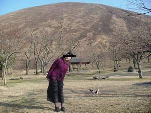 �ɓ�����������̗��ɂāB�W���������܂ł���ƁA�������ɂڂ݂͂܂��ł������B�o�b�N�̂܂�܂�厺�R�ɓo�낤�Ƃ������A�����Ń��t�g���~�܂��Ă��Ēf�O�B�ڍׂ̓N���b�N�B