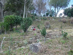 �ɓ��}�E���e���h�b�O�����ɂāB�}�Ζʂ̖��H�݂����ȃg�R���������A���߂ɂƂ��Ă͂ƂĂ������낢�V�яꂾ�����悤���B�g��̓N���b�N�I