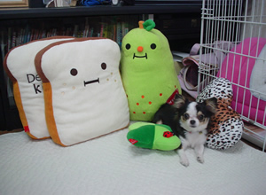 ���ɓ��ɑ����Ă��邤�߃O�b�Y�ƂƂ��ɁB