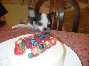 ���Ȃ݂ɘR��̒a�����B����P�[�L�A�ϰ�B���߂��j���Ă���܂����B