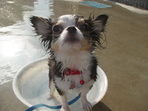 �A�c���Ăɂ͐����т���ԁI