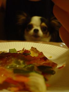 ���ߗp�s�U���łĂ��܂����B