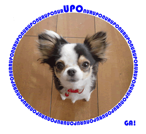 ���a�����v���[���g�͂��߂s�V���c�I