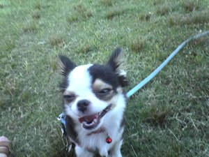 ���������ĕm���̂��߁B������̕s�ې����������Ă܂��B