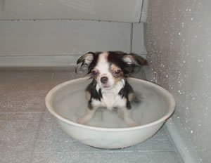 ���ߗp���ӂ�B������������܂œ������Ƃ��Ȃ������B