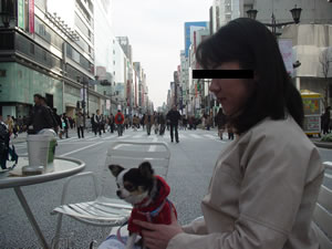 ����f�r���[�ɂ��߂������I�H