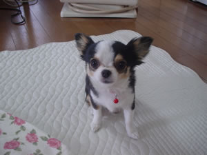 Happy Birthday ���߁I