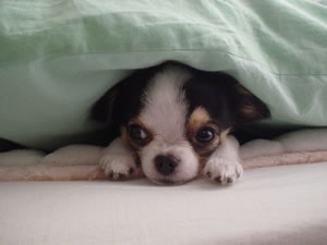 ���͂܂��T�����̂��A�t�g������Ȃ��Ȃ��łĂ��悤�Ƃ͂��܂���c�g��̓N���b�N�I