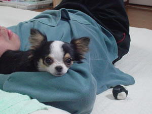 ���߂��`�������Ⴤ���患�`�I