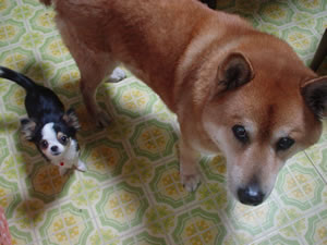 ���߂Ƃ܂�B���ǂ�2���āB