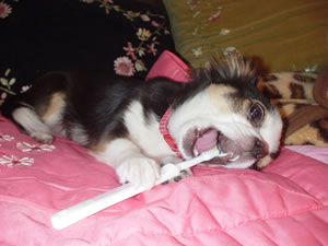 ���������ж޷�ɐ�O���B