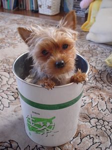 �܂߁A�����ځI