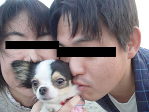 �V���F��TDL���ڰ�Ɍ����܂����B