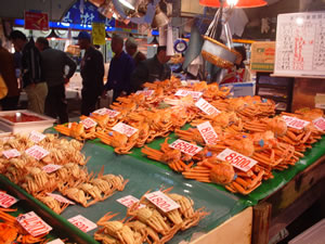 �ߍ]���s��̓J�j�s�����ł����B