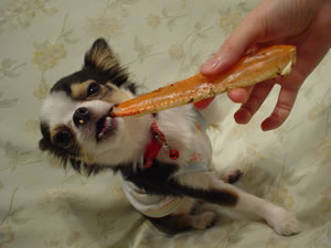 ���߂������ڂ���K�W^2