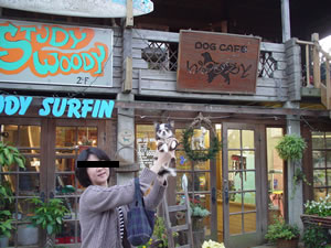 �y�����A�\�΂��Ă��������܂����B