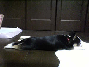 �ƂɋA��Ɣ�J�̂��܂�A���̗L�l�B