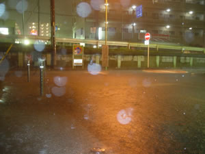 �ق�ɃG������������I�I