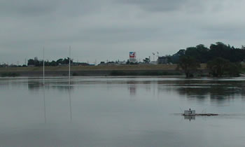 6���ɳ�߂����Ŕ͂��͂�u�S�v�����m�F�ł��Ȃ��B