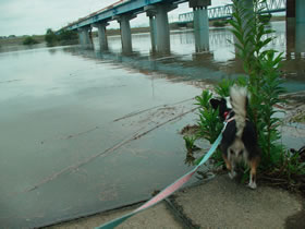 ���߂̓r�r�b�đ��ނ�z���ɂ������Ղ߂܂��񥥥