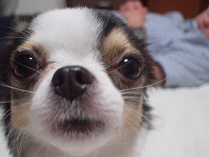 ���ĂȂ��ė��ڂɂłāA�ӂĐQ����TKD�i������j�Ƃ���