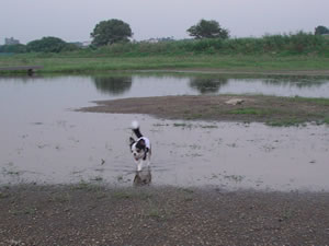 �͂��߂̓I�h�I�h