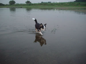 �Ō�͊��X�Ƃ��ĕ�������Ă܂����B