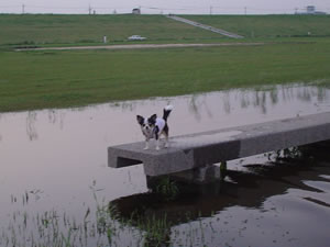 �x���`�̎���͹����[���A���߂��₷�₷�Ƃ͍~���܂���B