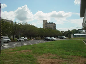 ����L�����p�X�̗l�q�B�ǂ��ƂȂ��x��Ɏ��Ă�B