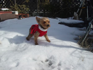 ���N���U�A���C�ȍ��̂܂߁B����̓N���b�N�ɂāB